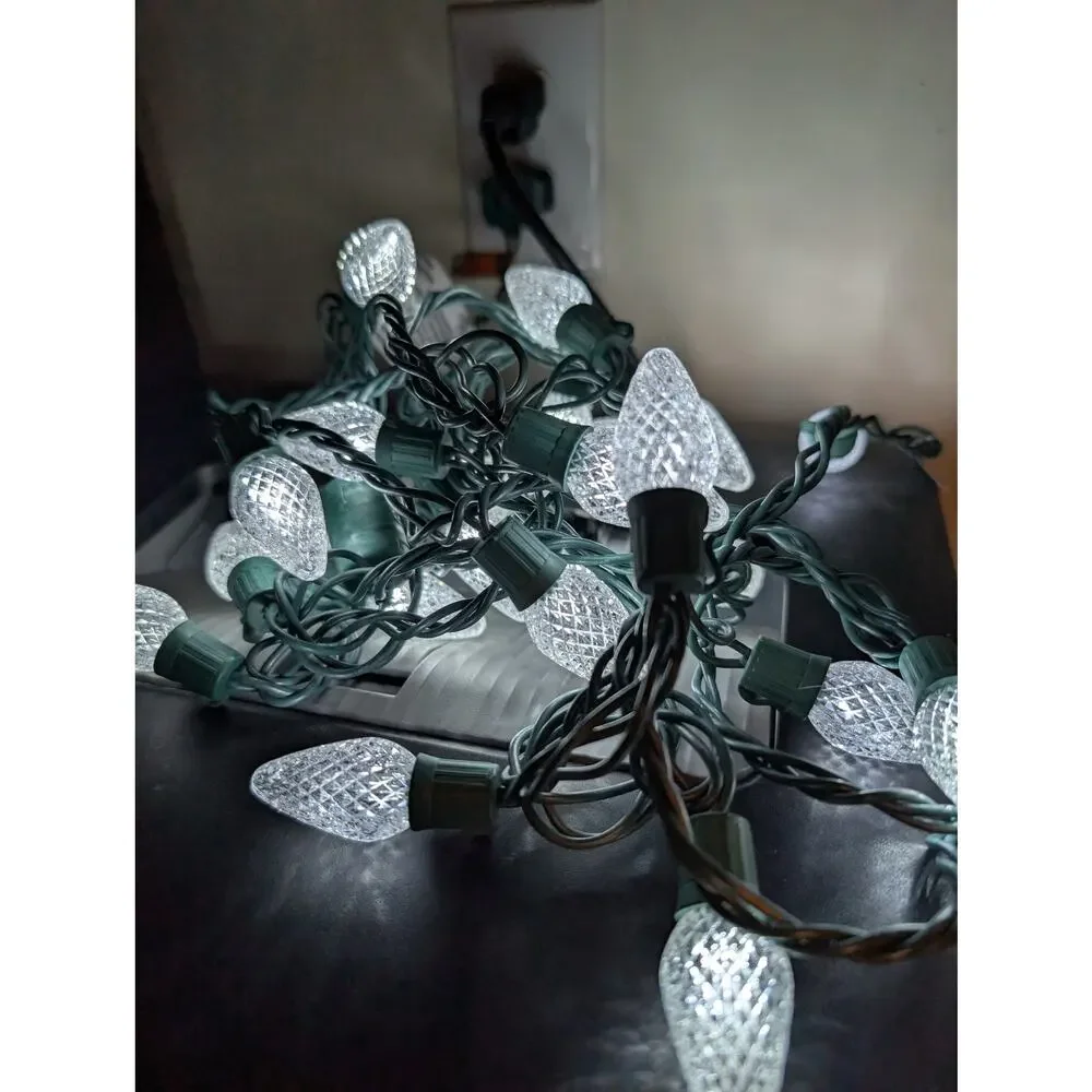 Indoor/Outdoor Christmas Lights-Snowflakes and Other